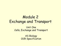 Module 2 Exchange and Transport