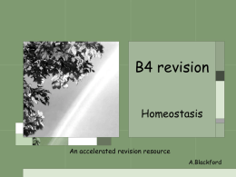 B4 revision - www.smallmonkey.co.uk