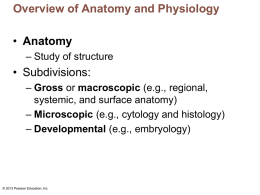 1 - anatomyphysiologyrusso