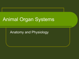 Animal Organ Systems - Welcome | NAAE Communities of Practice