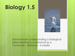 Biology 1.5 - Learning on the Loop
