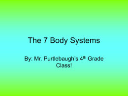 The 7 Body Systems - Ball State University