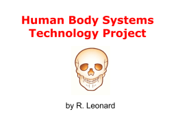Human Body Systems DR. I MCSNEER