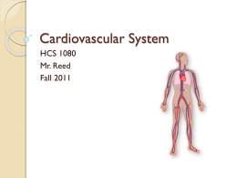 Cardiovascular System - Strathcona Christian Academy Secondary