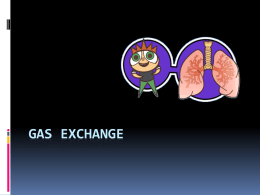 Gas exchange - Blog ng Mg2010