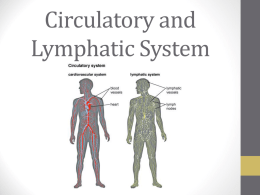 Contributions of the Circulatory System