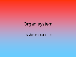 Organ system - Two Rivers Magnet Middle School