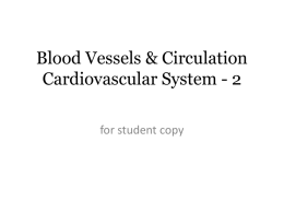 Blood Vessels & Circulation Cardiovascular System