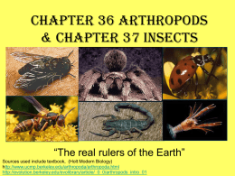 Chapter 36 Arthropods Chapter 37 Insects