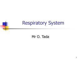 Respiratory System - MIDLANDS STATE UNIVERSITY