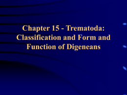 Chapter 15 - Trematoda: Classification and Form and