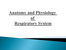 Anatomy and Physiology of Respiratory System