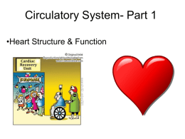 Circulatory System - School District 67 Okanagan Skaha