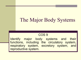The Major Body Systems