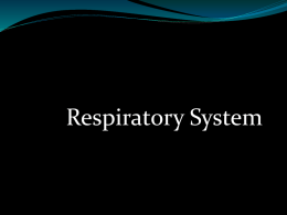 The Respiratory System 4-1