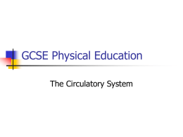 GCSE Physical Education