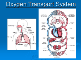 Oxygen Transport System - EARLSTON HS PHYSICAL …