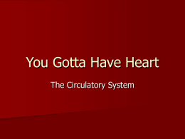 Circulatory System - UNT's College of Education