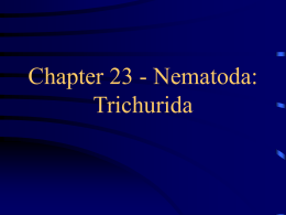 Chapter 23 - Nematoda: Trichurida