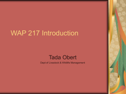 WAP 217 Introduction - Midlands State University