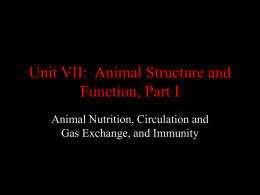 Unit VII: Animal Structure and Function, Part I