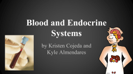 Blood and Endocrine Systems - Downey Unified School District