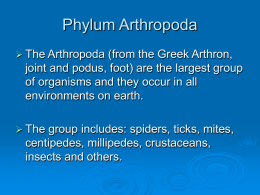 Phylum Arthropoda - SUNY Plattsburgh
