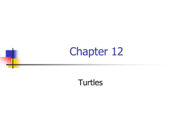 Turtles: Chapter 12 - Faulkner University
