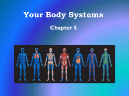 Your Body Systems - Freeport Area School District