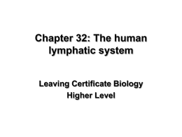 The Lymphatic System - Leaving Cert Biology