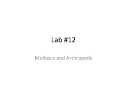 Lab #12