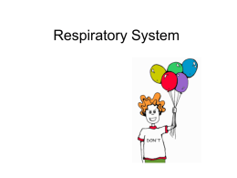 Respiratory System - Hudson City Schools / Homepage