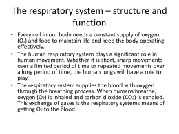 The respiratory system – structure and function