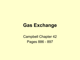 Gas Exchange - Learning on the Loop