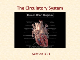 The Circulatory System - Southgate Community School District