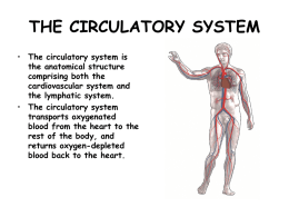 THE CIRCULATORY SYSTEM