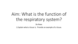 Aim: What is the function of the respiratory system?