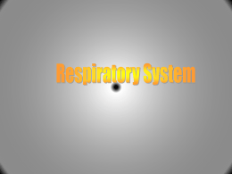 CRYDERS Ch22 Respiratory System