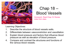Chap 18 – Blood Vessels