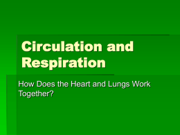 Circulation and Respiration - UNT's College of Education