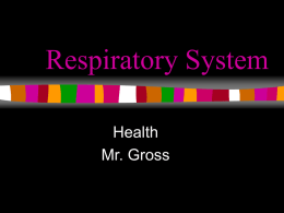 Respiratory System - Helena Public School District