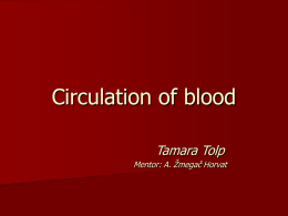 Circulation of blood