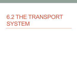 6.2 The Transport System