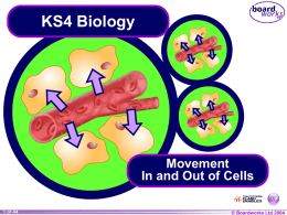 Movement In and Out of Cells