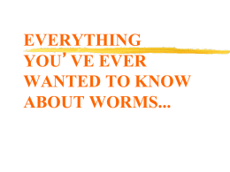 EVERYTHING YOU`VE EVER WANTED TO KNOW ABOUT WORMS