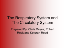 circulatoryandrespiratorysystemwebquest1