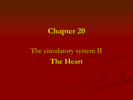 Chapter 19