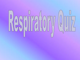 Respiratory System Jeopardy