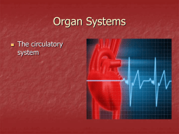 Circulatory system pp - Valhalla High School