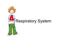 Respiratory System2010